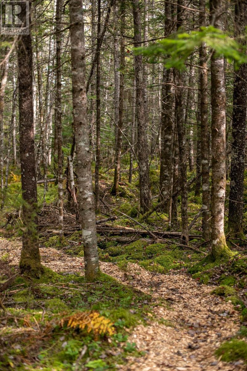 Lot 7 Stamping Mill Lane, Beech Hill, Nova Scotia  B0J 1K0 - Photo 15 - 202321082