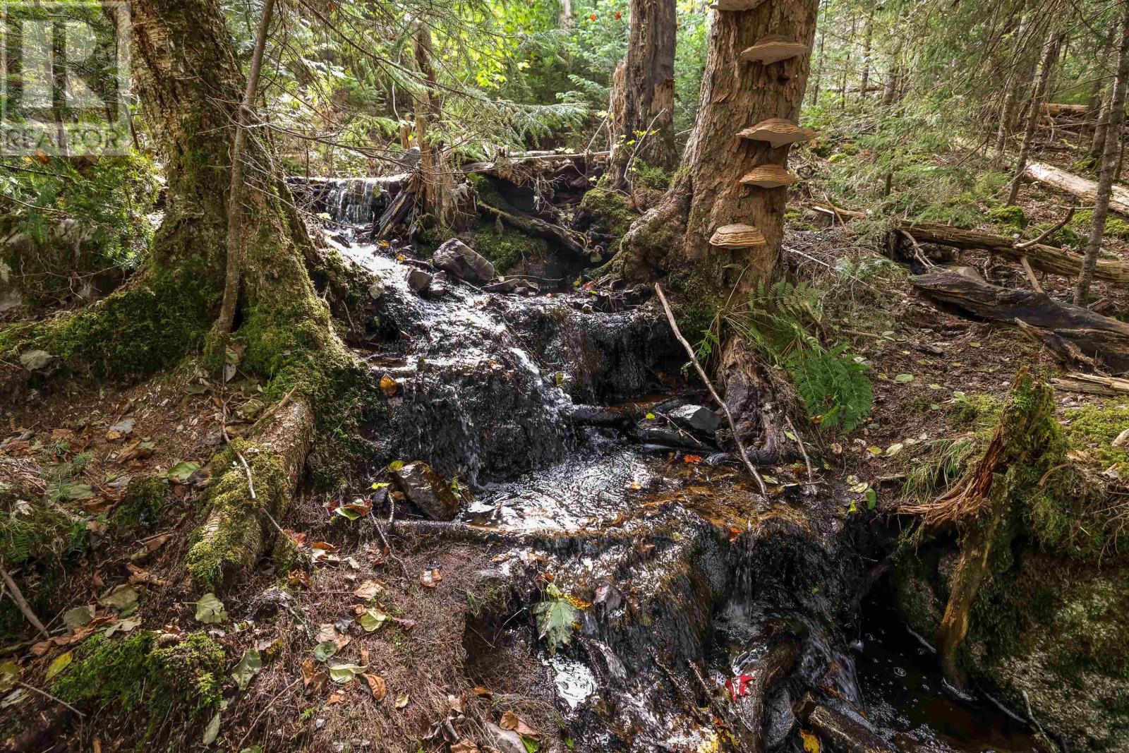 Lot 2 Stamping Mill Lane, Beech Hill, Nova Scotia  B0J 1K0 - Photo 12 - 202321084