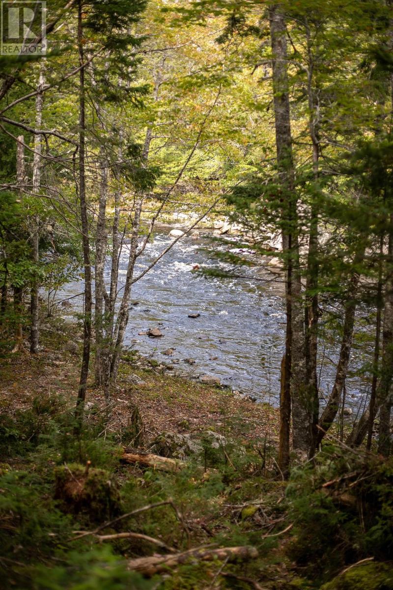 Lot 2 Stamping Mill Lane, Beech Hill, Nova Scotia  B0J 1K0 - Photo 14 - 202321084