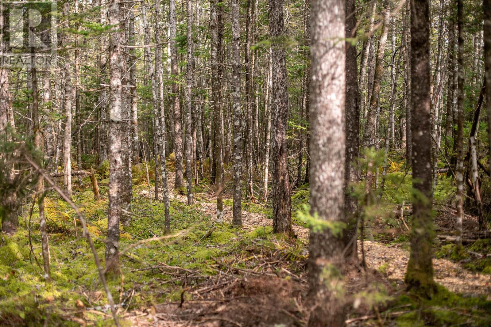 Lot 2 Stamping Mill Lane, Beech Hill, Nova Scotia  B0J 1K0 - Photo 6 - 202321084