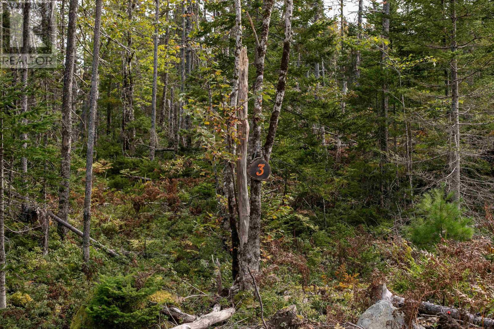 Lot 3 Stamping Mill Lane, Beech Hill, Nova Scotia  B0J 1K0 - Photo 3 - 202321085