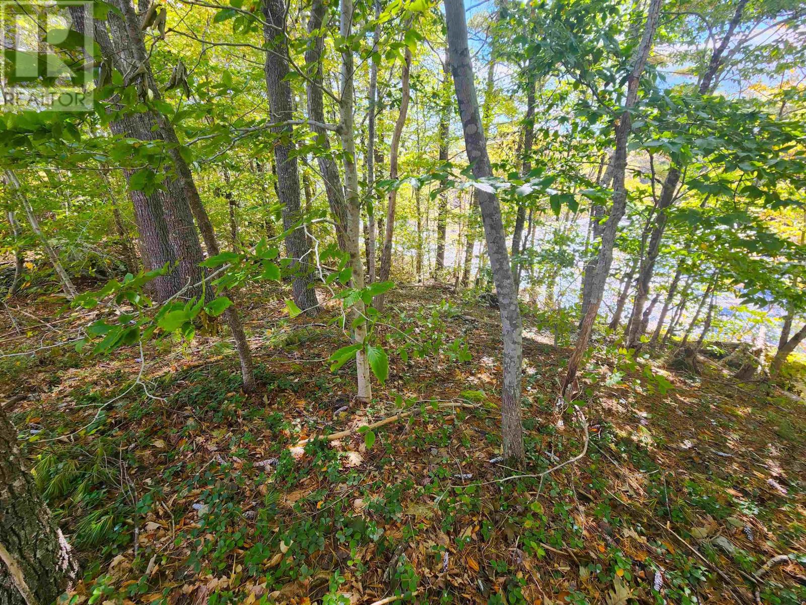 Murray Meadows, Riverdale, Nova Scotia  B0J 2H0 - Photo 11 - 202321813