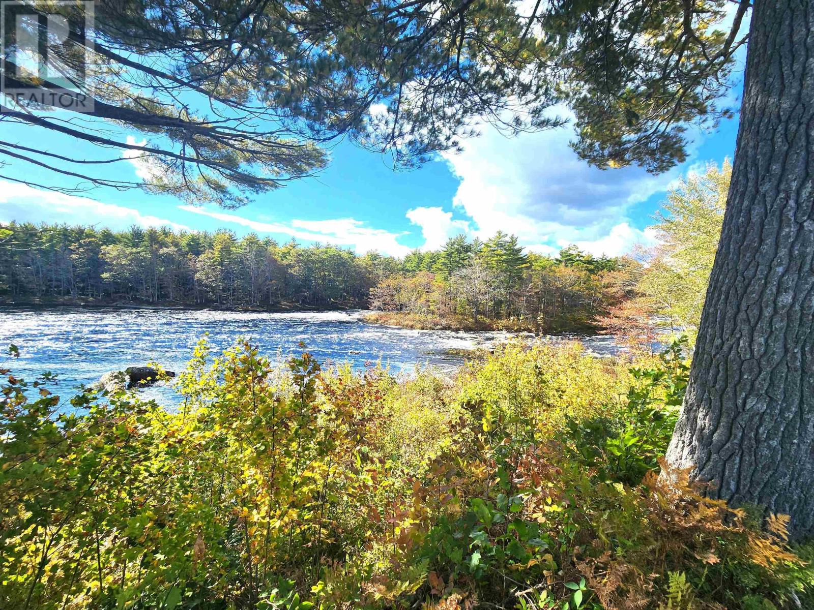 Murray Meadows, Riverdale, Nova Scotia  B0J 2H0 - Photo 17 - 202321813