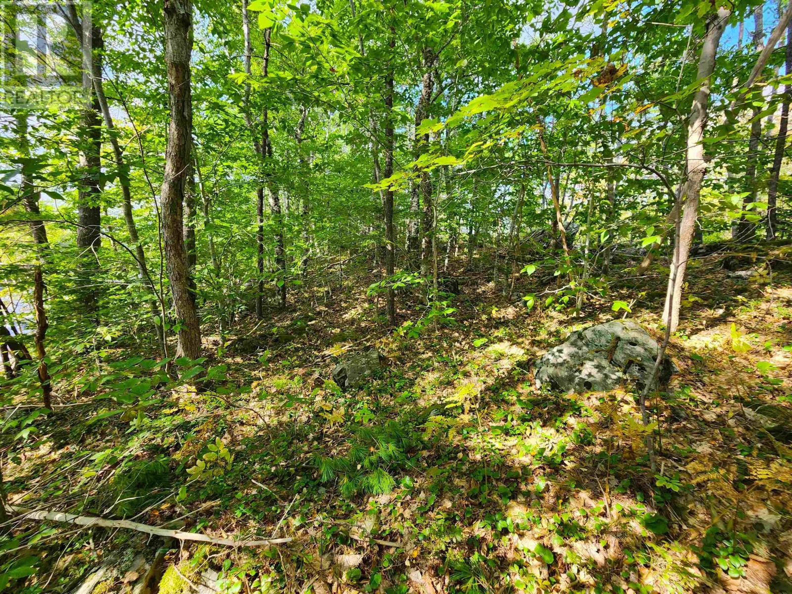 Murray Meadows, Riverdale, Nova Scotia  B0J 2H0 - Photo 18 - 202321813