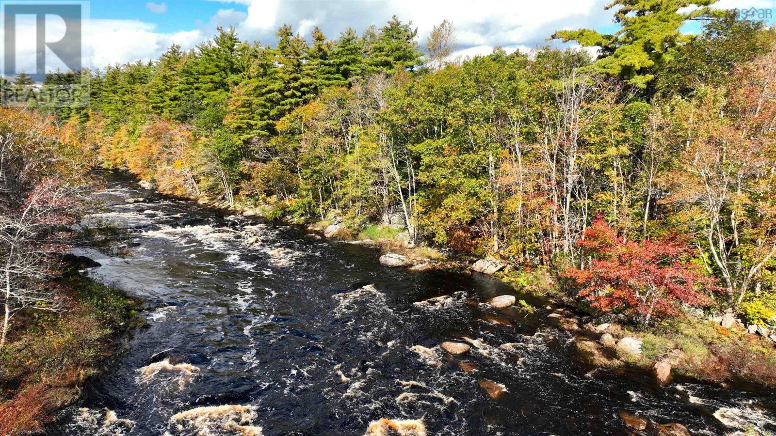 Murray Meadows, Riverdale, Nova Scotia  B0J 2H0 - Photo 21 - 202321813