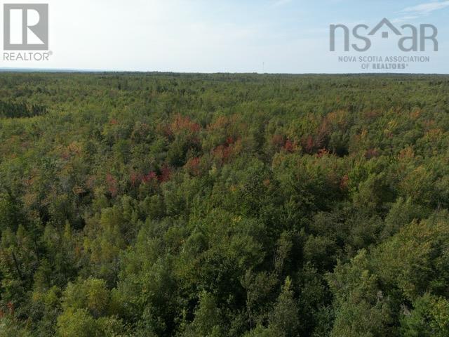 Hedgeville Road, Seafoam, Nova Scotia  B0K 1N0 - Photo 11 - 202321863