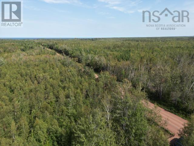 Hedgeville Road, Seafoam, Nova Scotia  B0K 1N0 - Photo 12 - 202321863