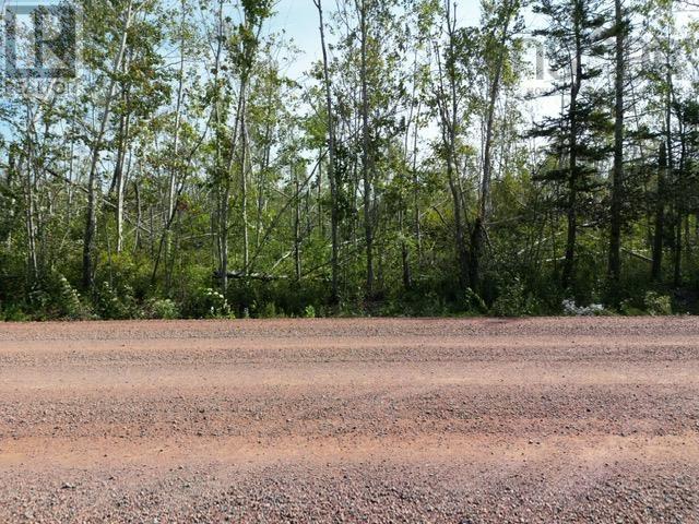 Hedgeville Road, Seafoam, Nova Scotia  B0K 1N0 - Photo 16 - 202321863