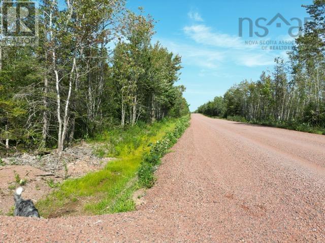 Hedgeville Road, Seafoam, Nova Scotia  B0K 1N0 - Photo 17 - 202321863