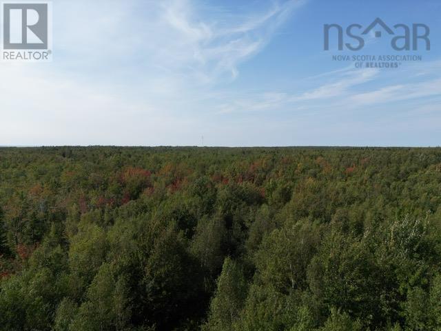 Hedgeville Road, Seafoam, Nova Scotia  B0K 1N0 - Photo 2 - 202321863