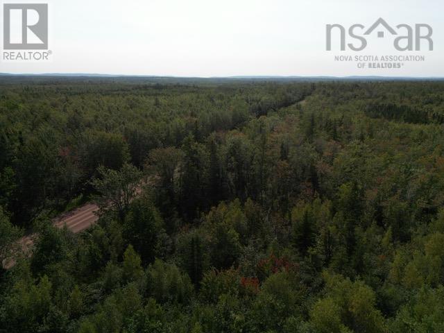 Hedgeville Road, Seafoam, Nova Scotia  B0K 1N0 - Photo 7 - 202321863