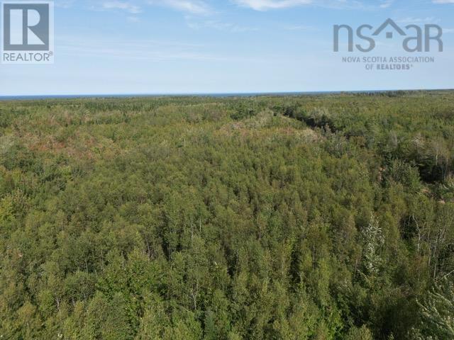 Hedgeville Road, Seafoam, Nova Scotia  B0K 1N0 - Photo 9 - 202321863