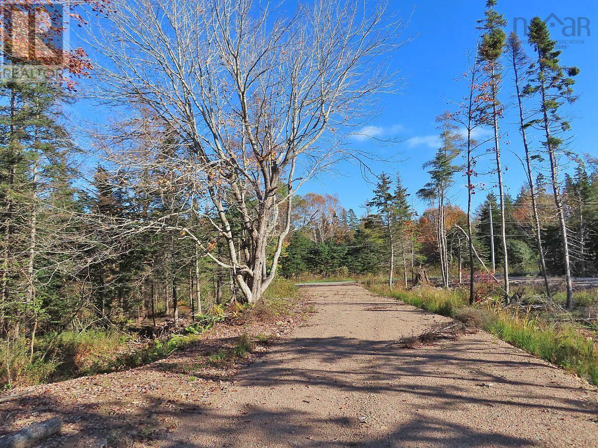 Lot 8 Lower River Road|Highway #4, cleveland, Nova Scotia