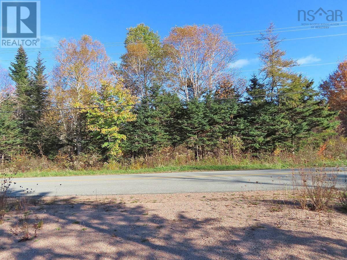 Lot 8 Lower River Road, Highway #4, Cleveland, Nova Scotia  B0E 1J0 - Photo 11 - 202323032