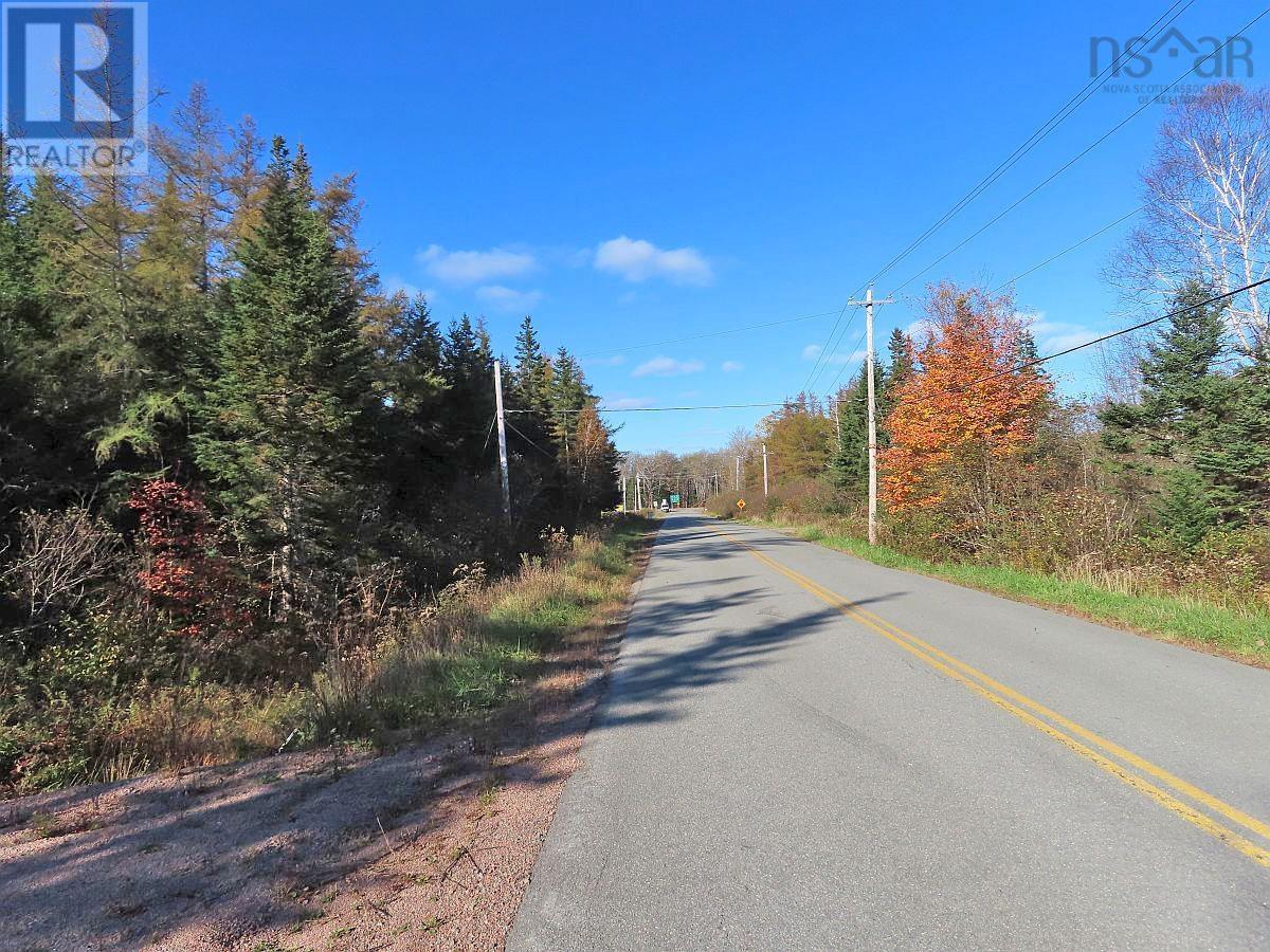 Lot 8 Lower River Road, Highway #4, Cleveland, Nova Scotia  B0E 1J0 - Photo 12 - 202323032