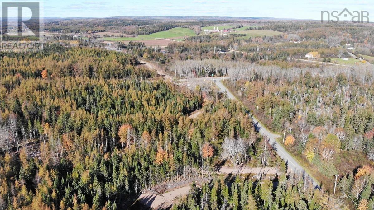 Lot 8 Lower River Road, Highway #4, Cleveland, Nova Scotia  B0E 1J0 - Photo 13 - 202323032