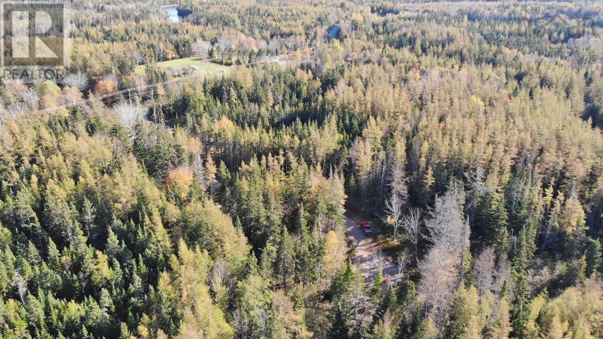 Lot 8 Lower River Road, Highway #4, Cleveland, Nova Scotia  B0E 1J0 - Photo 15 - 202323032