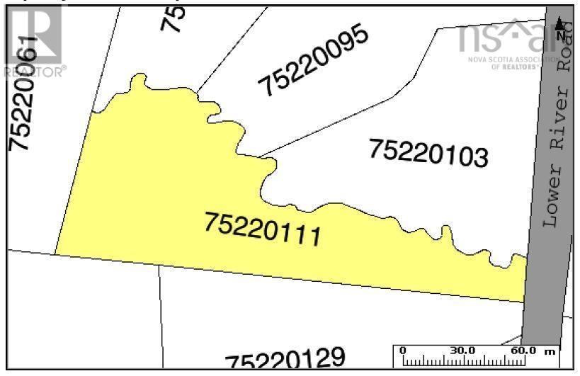 Lot 8 Lower River Road, Highway #4, Cleveland, Nova Scotia  B0E 1J0 - Photo 18 - 202323032