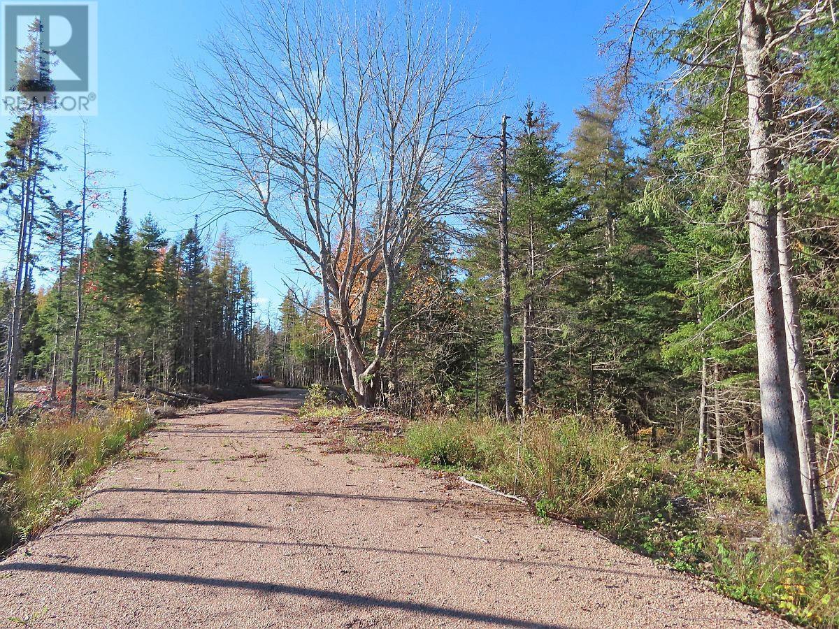 Lot 8 Lower River Road, Highway #4, Cleveland, Nova Scotia  B0E 1J0 - Photo 19 - 202323032