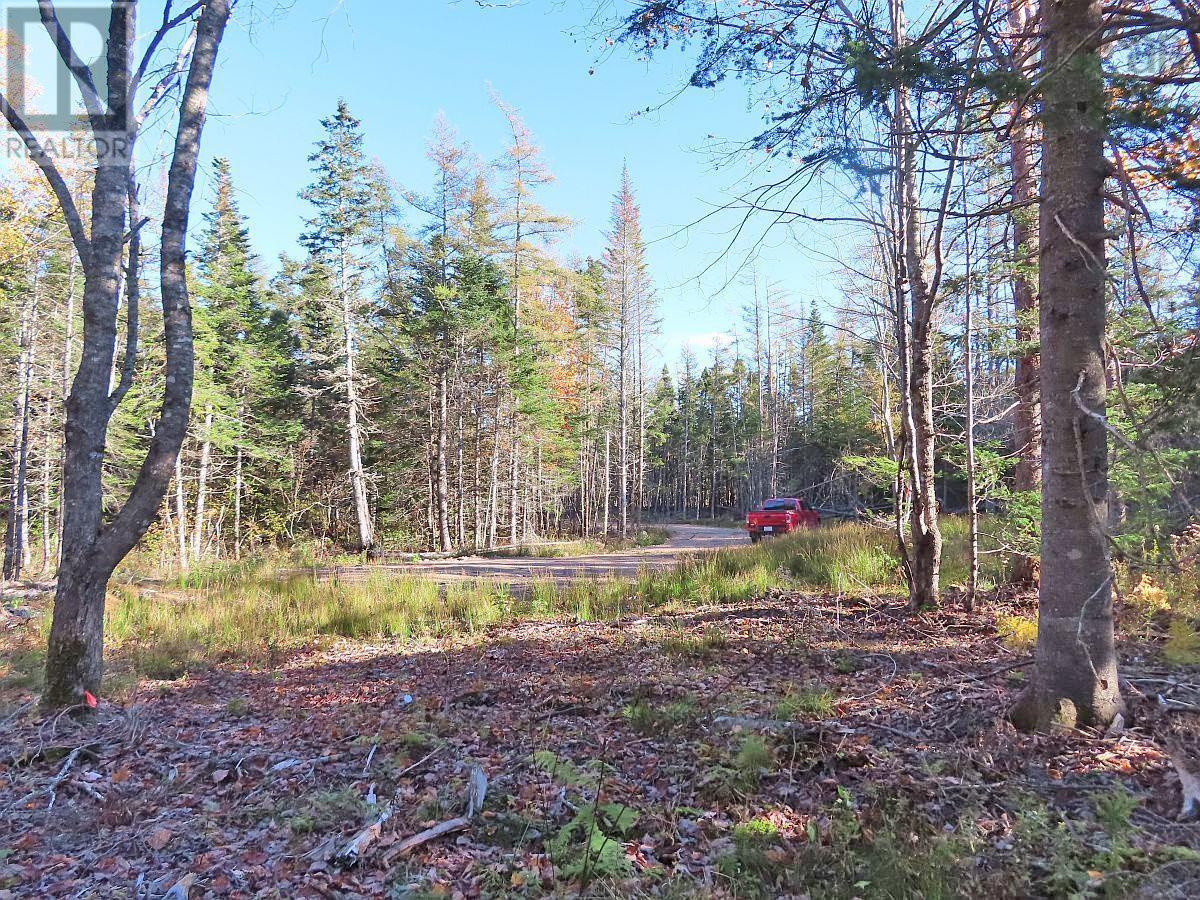 Lot 8 Lower River Road, Highway #4, Cleveland, Nova Scotia  B0E 1J0 - Photo 3 - 202323032