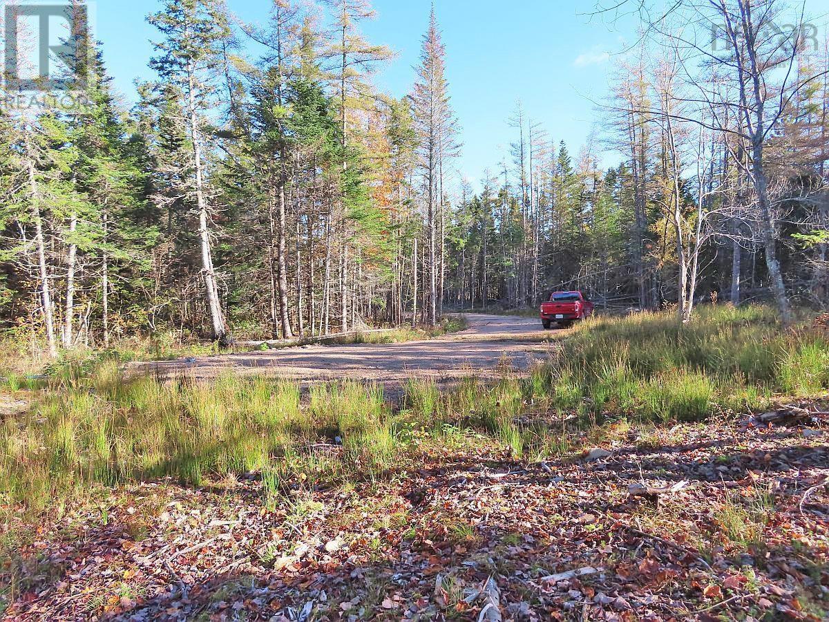 Lot 8 Lower River Road, Highway #4, Cleveland, Nova Scotia  B0E 1J0 - Photo 6 - 202323032