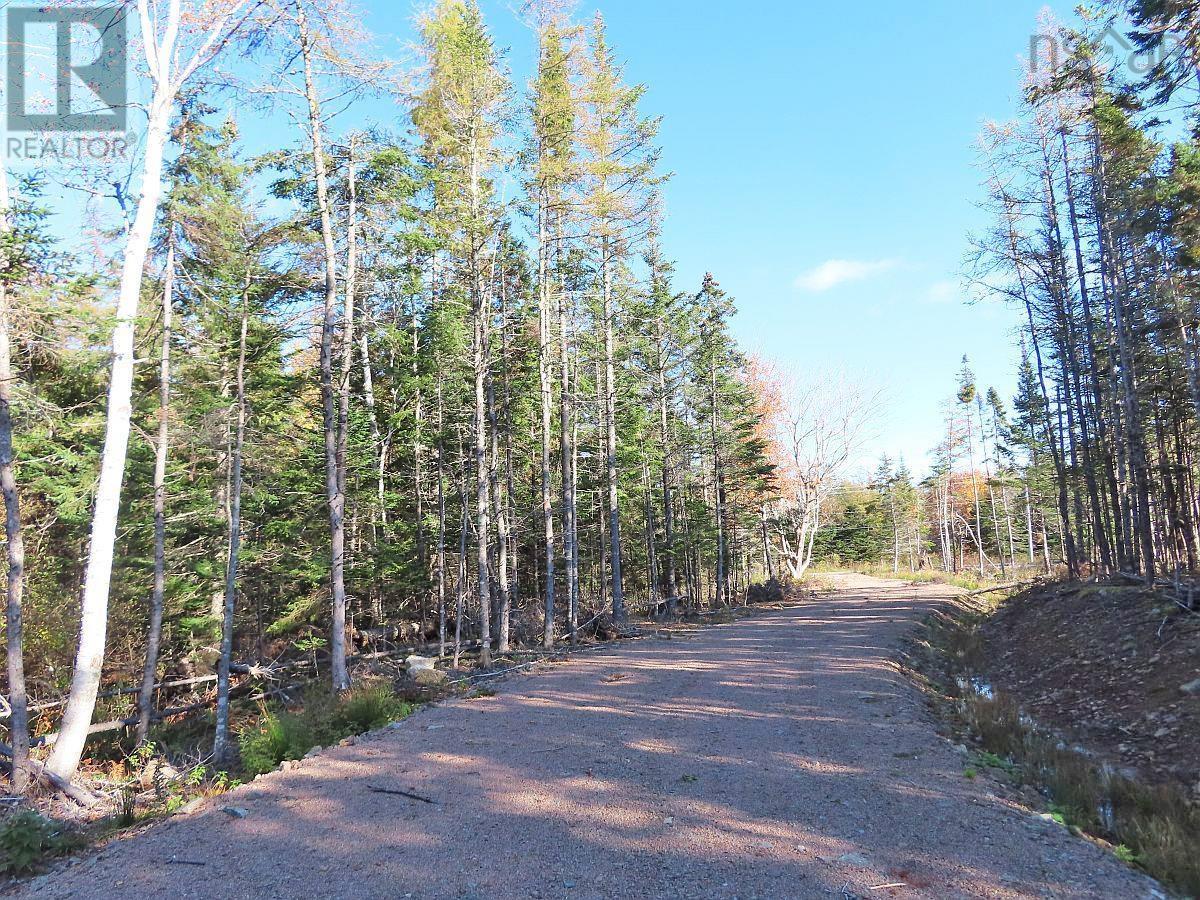 Lot 8 Lower River Road, Highway #4, Cleveland, Nova Scotia  B0E 1J0 - Photo 7 - 202323032