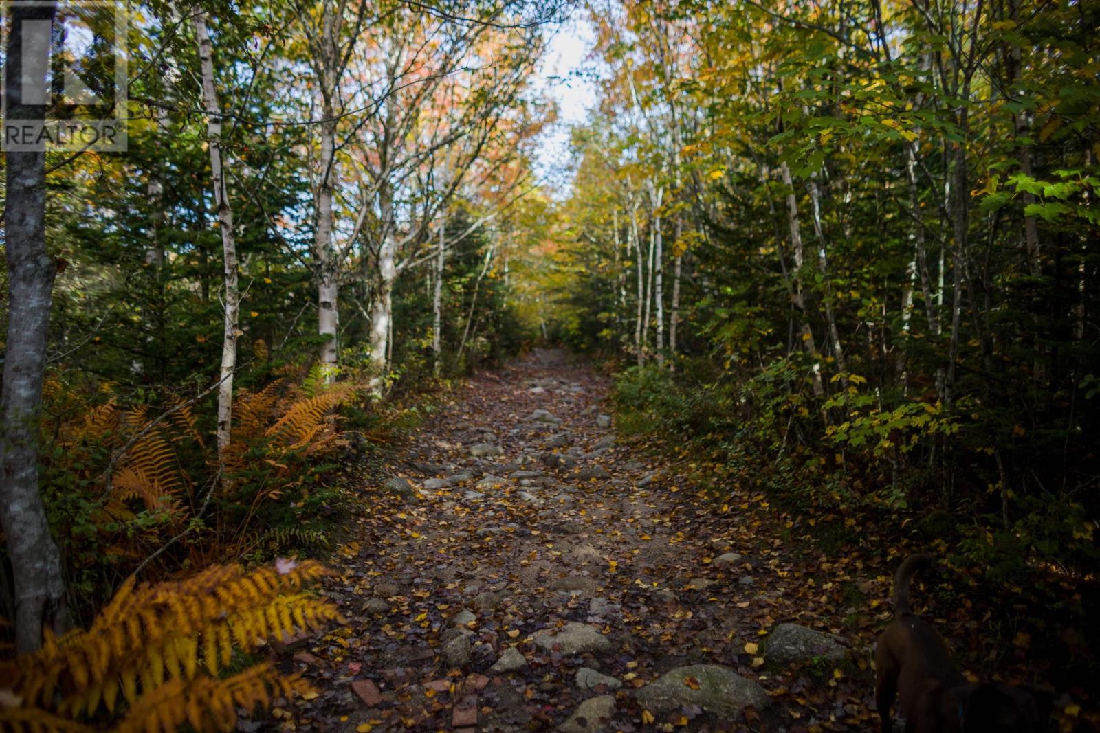 Lot River Road, Terence Bay, Nova Scotia  B3T 1X3 - Photo 10 - 202323155