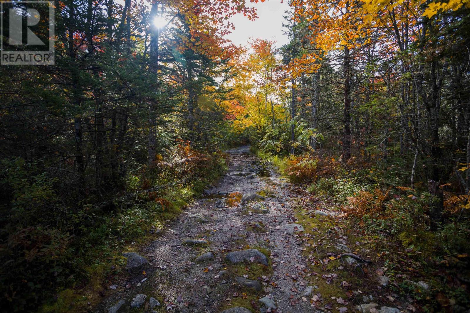 Lot River Road, Terence Bay, Nova Scotia  B3T 1X3 - Photo 11 - 202323155