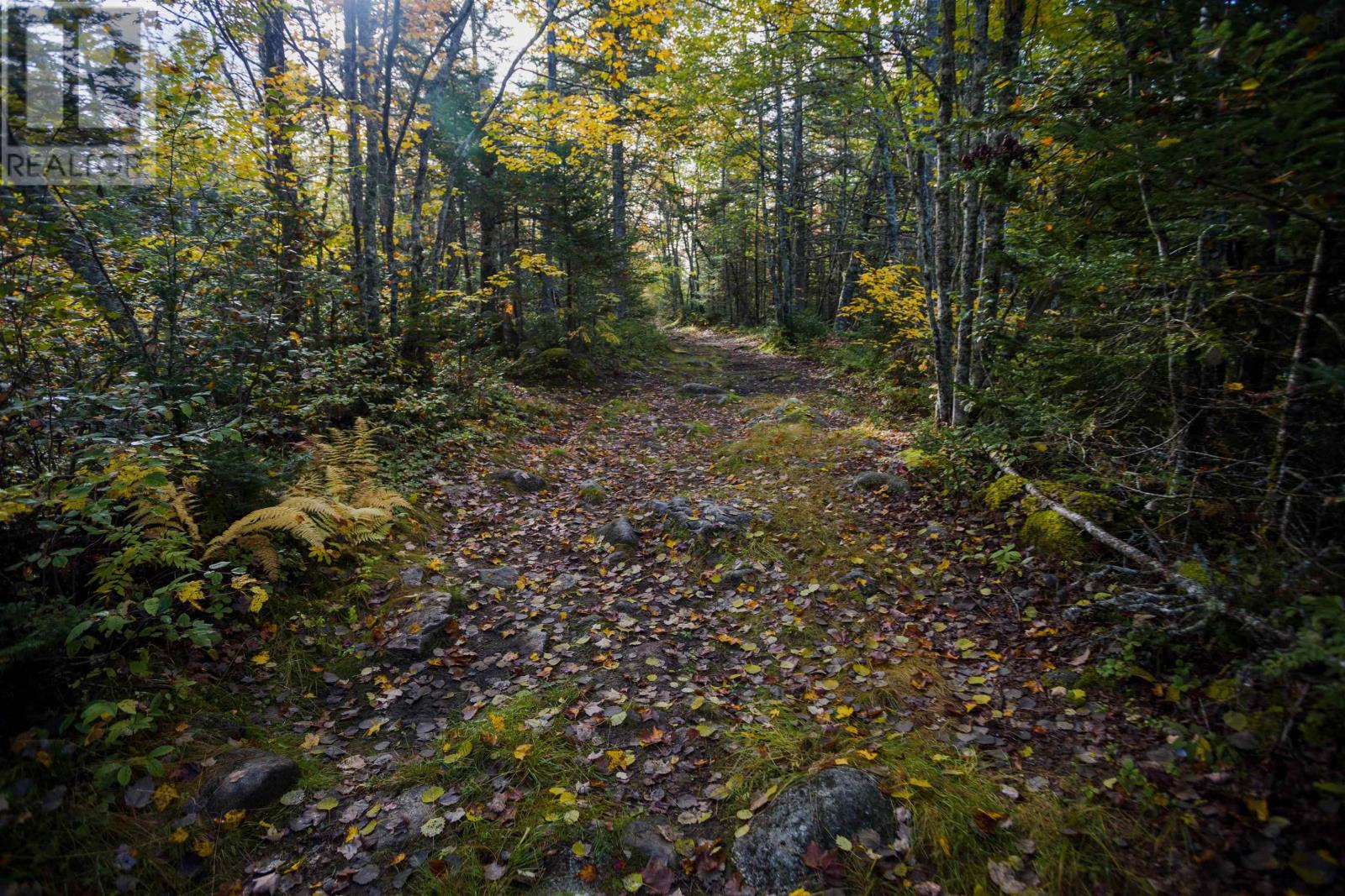 Lot River Road, Terence Bay, Nova Scotia  B3T 1X3 - Photo 15 - 202323155