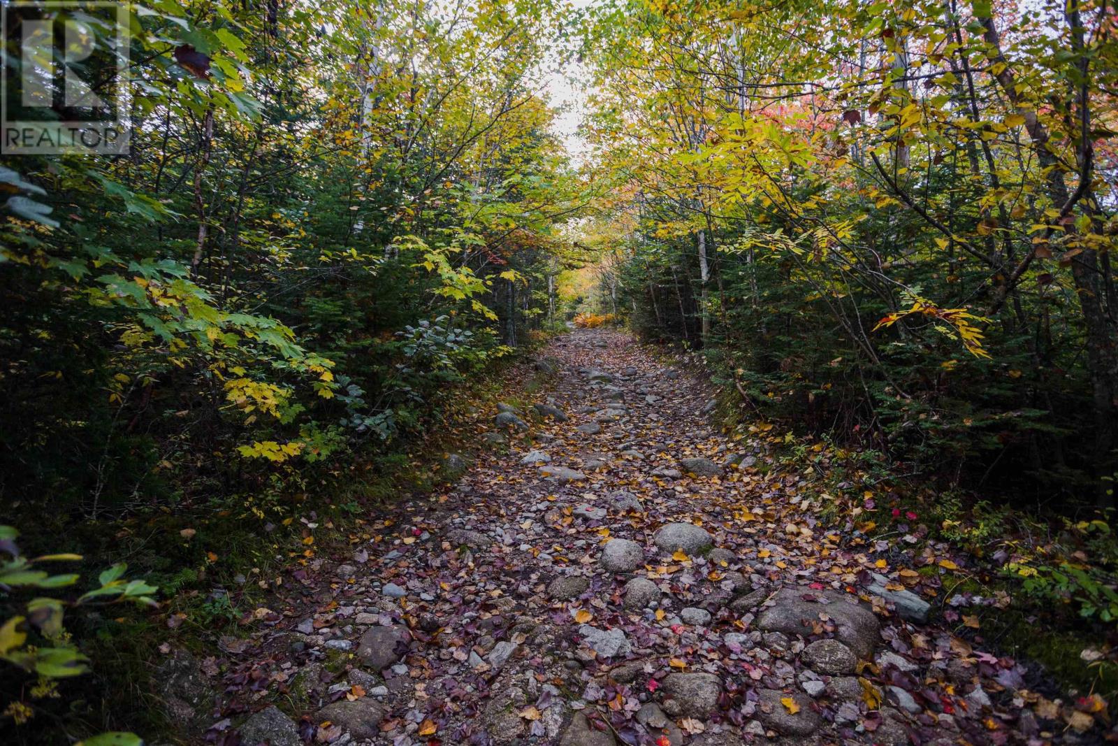 Lot River Road, Terence Bay, Nova Scotia  B3T 1X3 - Photo 17 - 202323155