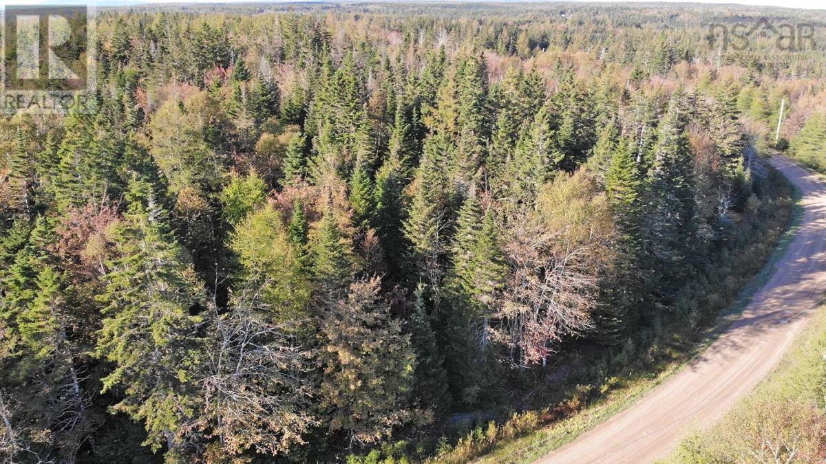 Lot 49 Lucas Lane, Kempt Road, Cleveland, Nova Scotia  B0E 1J0 - Photo 6 - 202323367