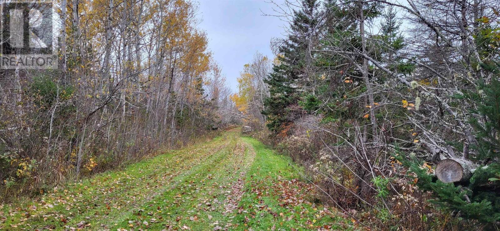 435 Horton Point Road, Malagash, Nova Scotia  B0K 1E0 - Photo 5 - 202323477