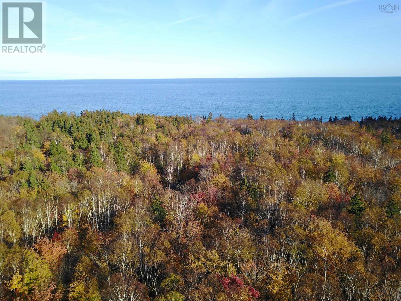 Lot 2023-1 0 Cabot Trail Road, Birch Plain, Nova Scotia  B0C 1H0 - Photo 14 - 202323852