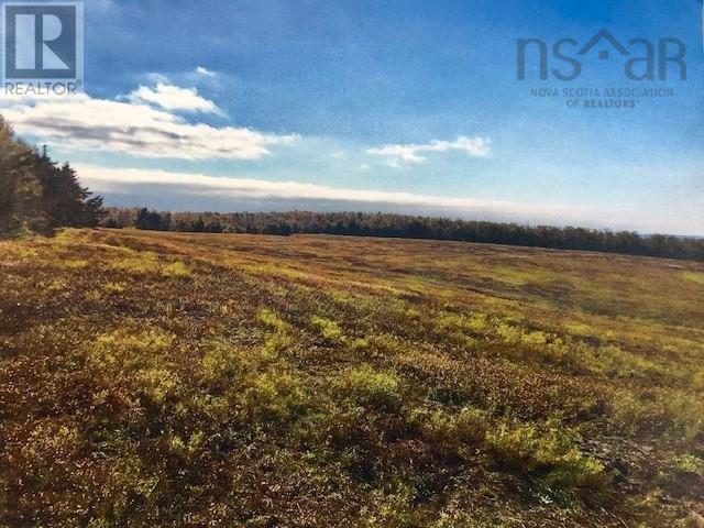 Back Mountain Road, East Earltown, Nova Scotia  B0K 1V0 - Photo 3 - 202324389