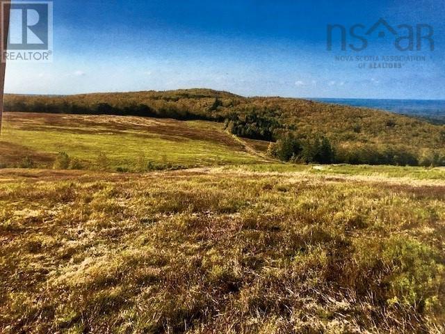 Back Mountain Road, East Earltown, Nova Scotia  B0K 1V0 - Photo 4 - 202324389