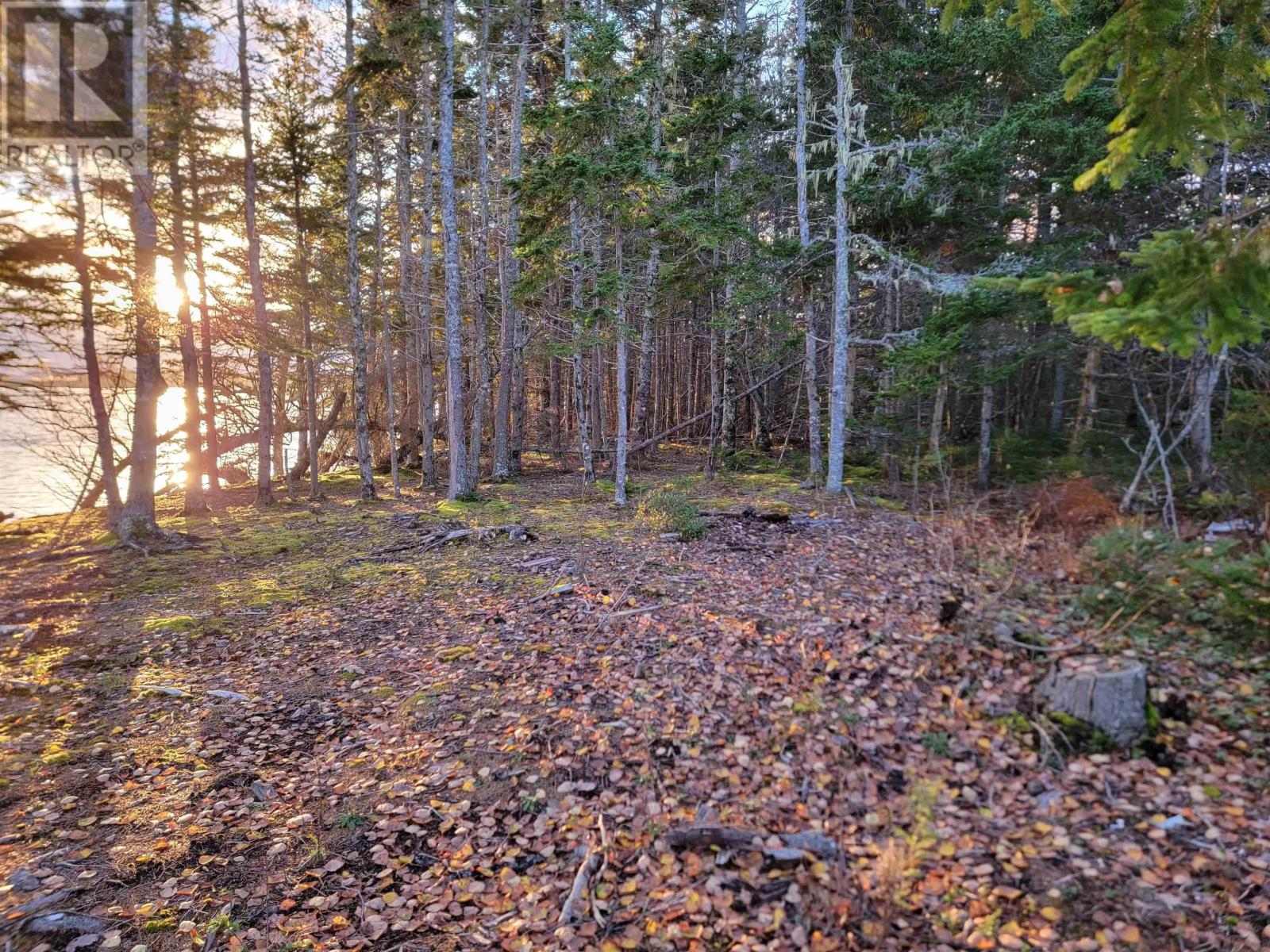 Red Point Road, Red Point, Nova Scotia  B2C 1G9 - Photo 10 - 202324502