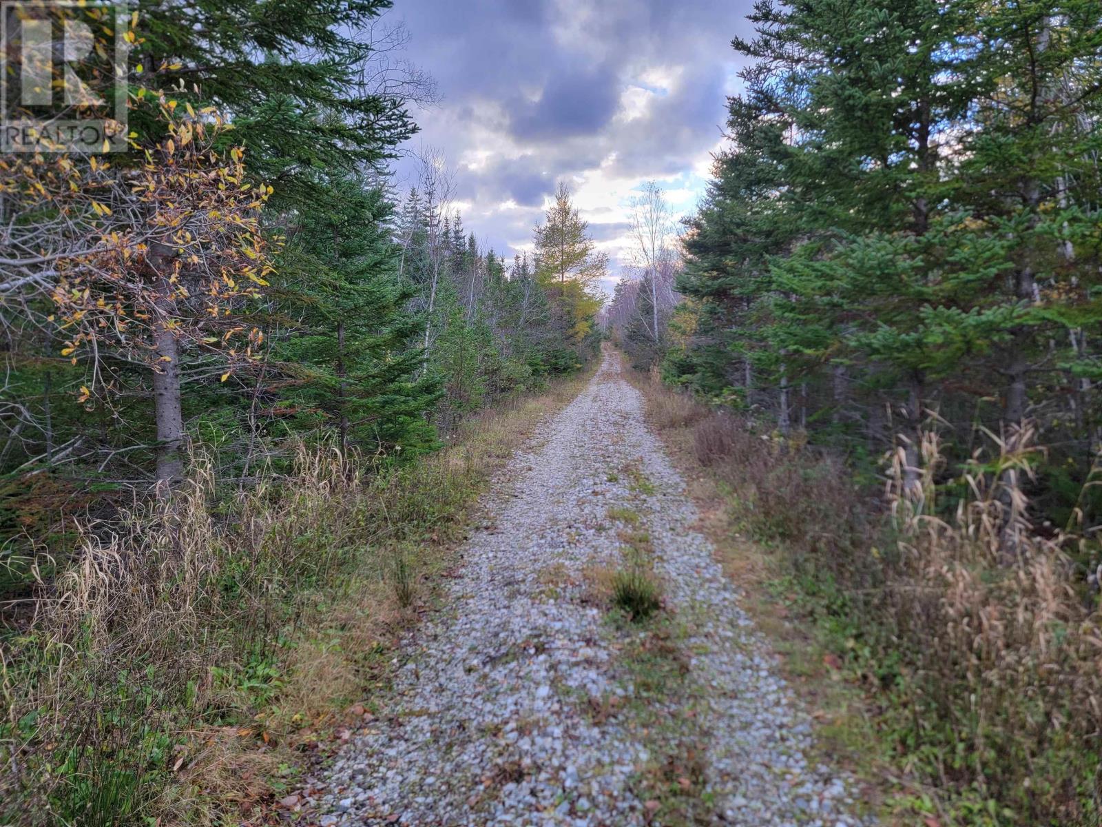 Red Point Road, Red Point, Nova Scotia  B2C 1G9 - Photo 17 - 202324502