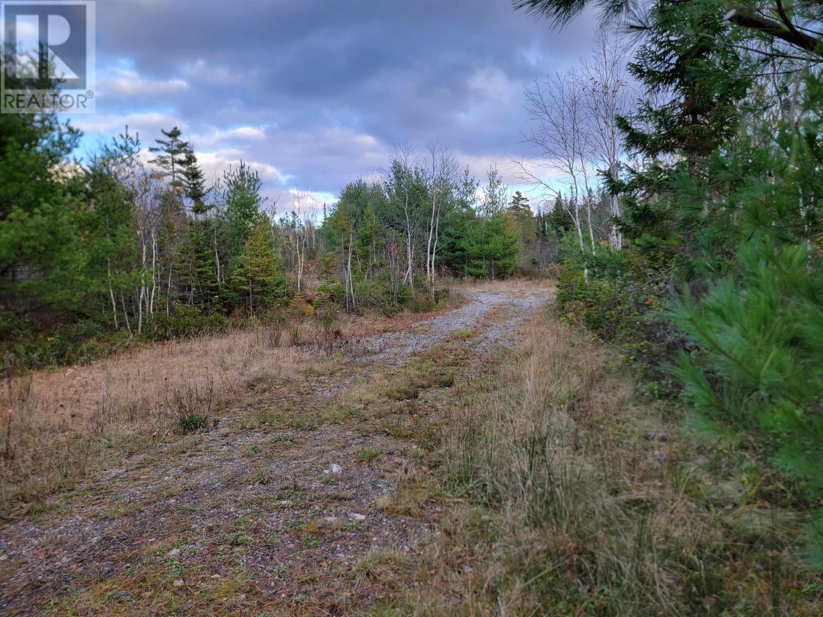 Red Point Road, Red Point, Nova Scotia  B2C 1G9 - Photo 18 - 202324502