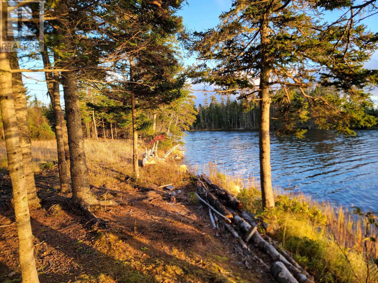 Red Point Road, Red Point, Nova Scotia  B2C 1G9 - Photo 3 - 202324502