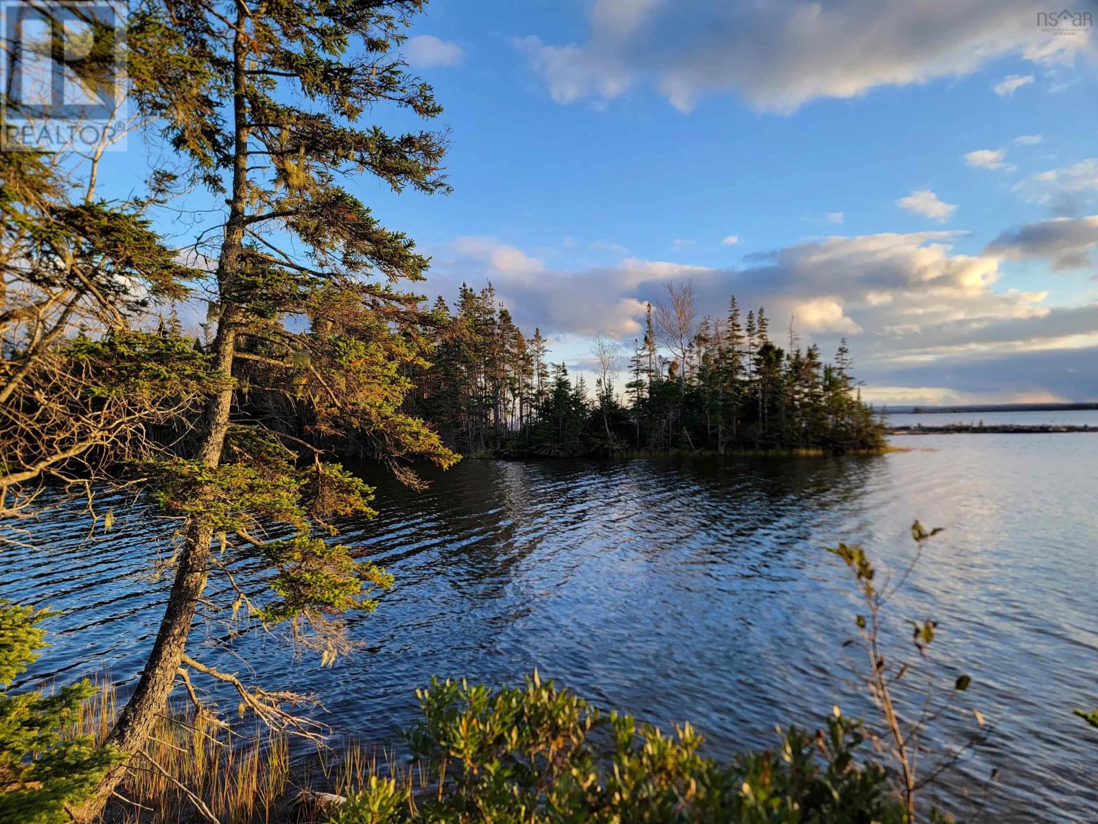 Red Point Road, Red Point, Nova Scotia  B2C 1G9 - Photo 4 - 202324502