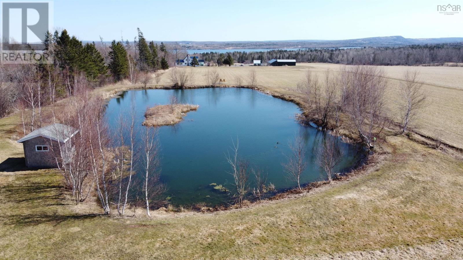 223 Scotch Hill Road, Lyons Brook, Nova Scotia  B0K 1H0 - Photo 12 - 202325202