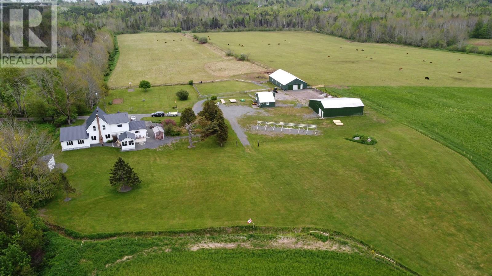 223 Scotch Hill Road, Lyons Brook, Nova Scotia  B0K 1H0 - Photo 4 - 202325202