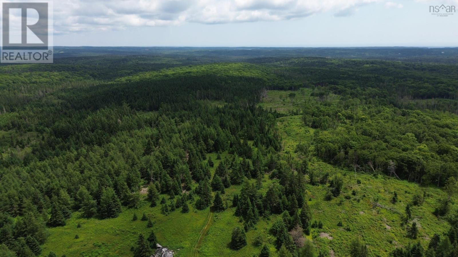 Lot Shaws Road, Lewis Cove Road, Nova Scotia  B0E 3B0 - Photo 10 - 202325236