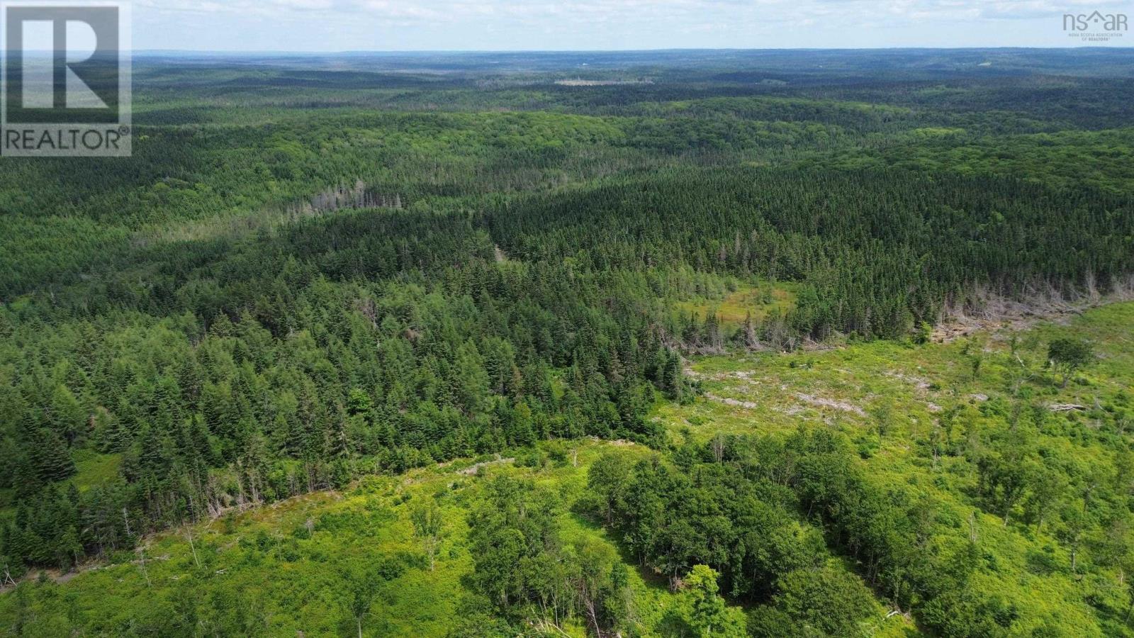 Lot Shaws Road, Lewis Cove Road, Nova Scotia  B0E 3B0 - Photo 12 - 202325236