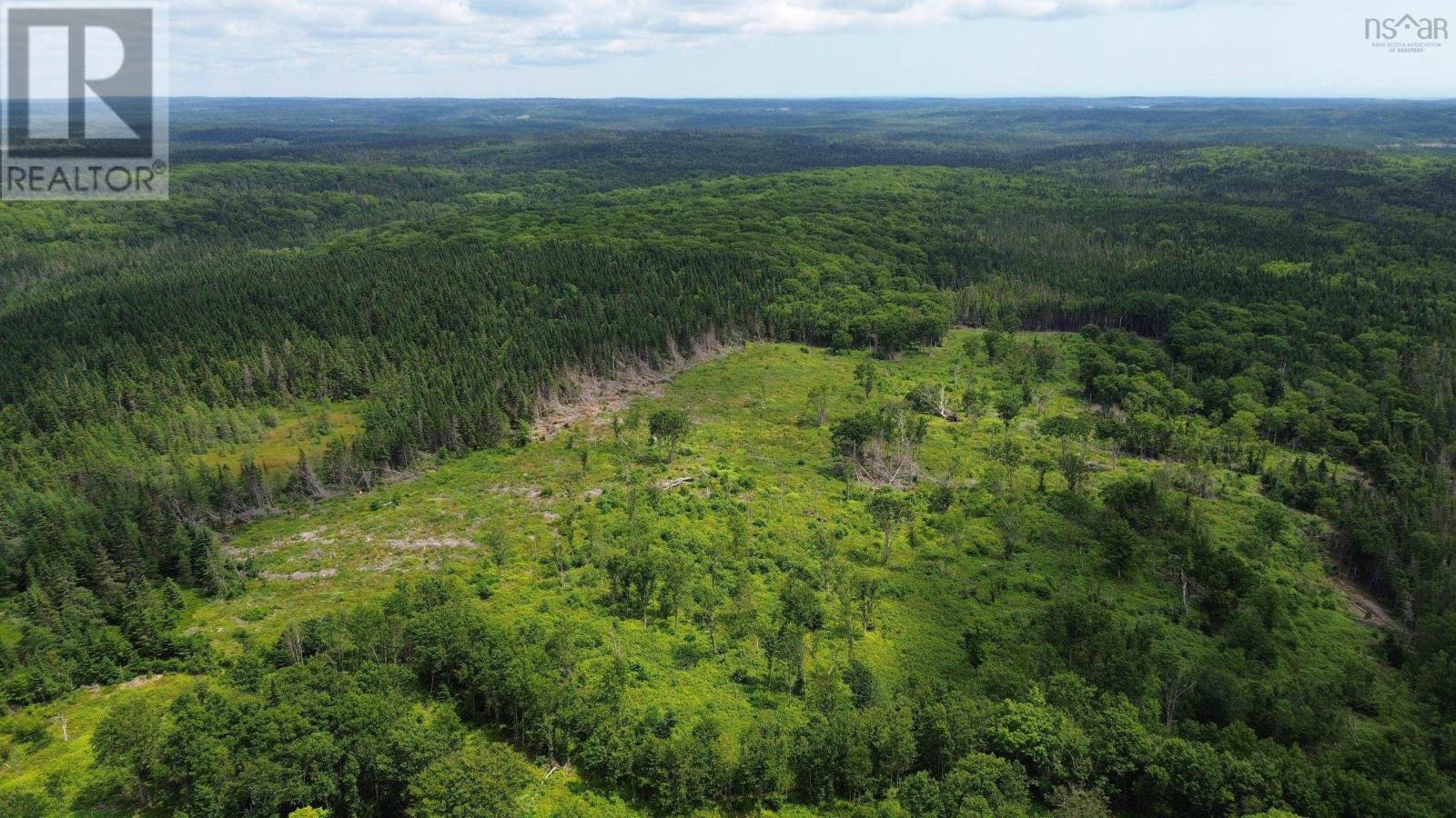 Lot Shaws Road, Lewis Cove Road, Nova Scotia  B0E 3B0 - Photo 15 - 202325236