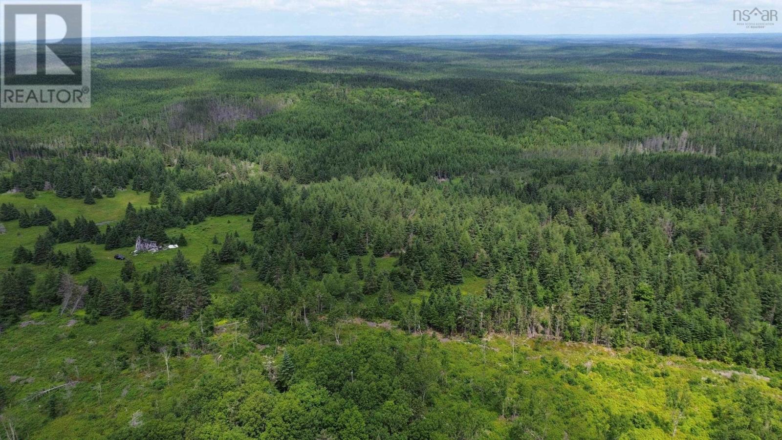 Lot Shaws Road, Lewis Cove Road, Nova Scotia  B0E 3B0 - Photo 4 - 202325236