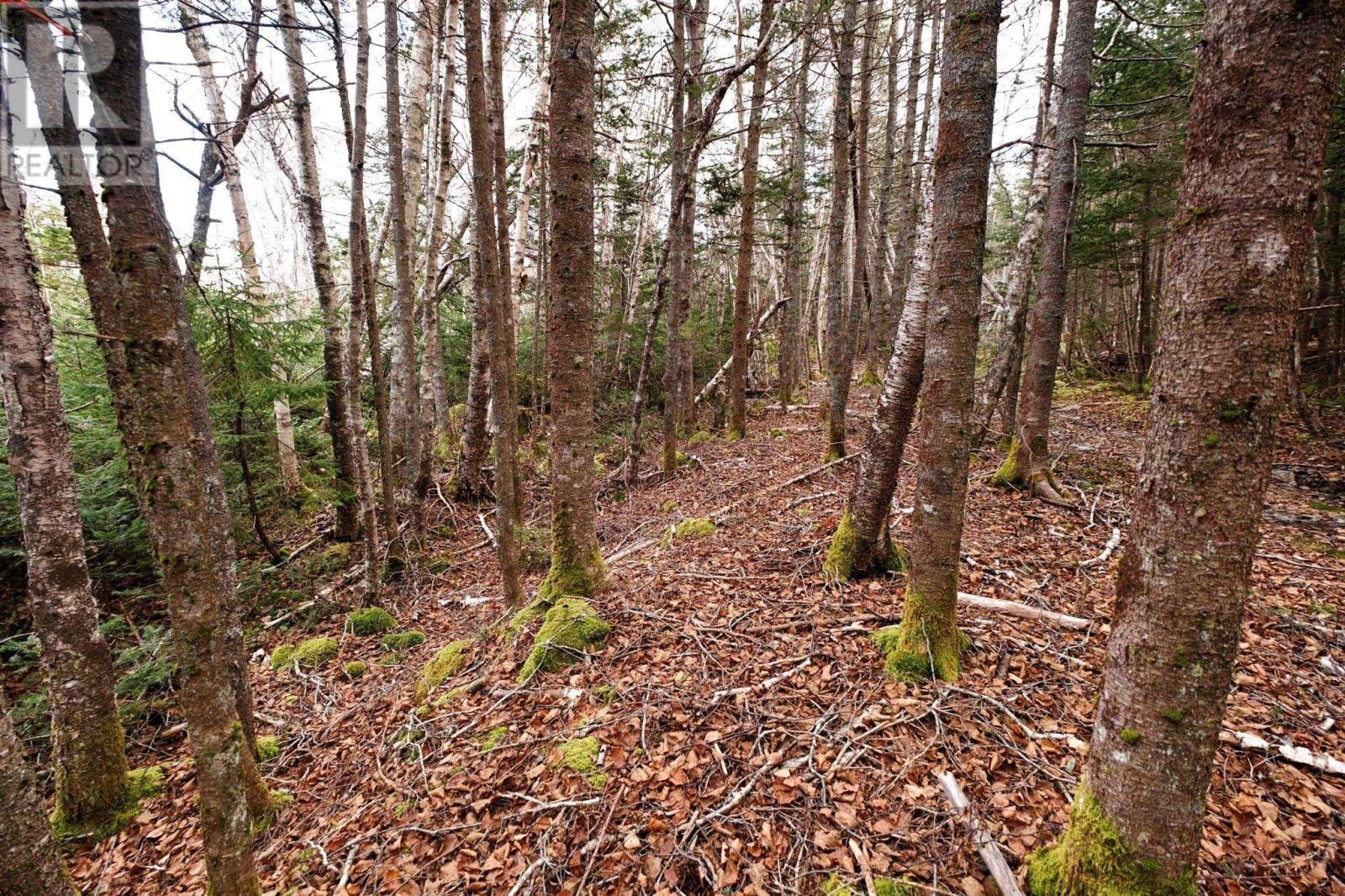 Remainder Lot R Peggys Cove Road, Indian Harbour, Nova Scotia  B3Z 3N4 - Photo 2 - 202325320