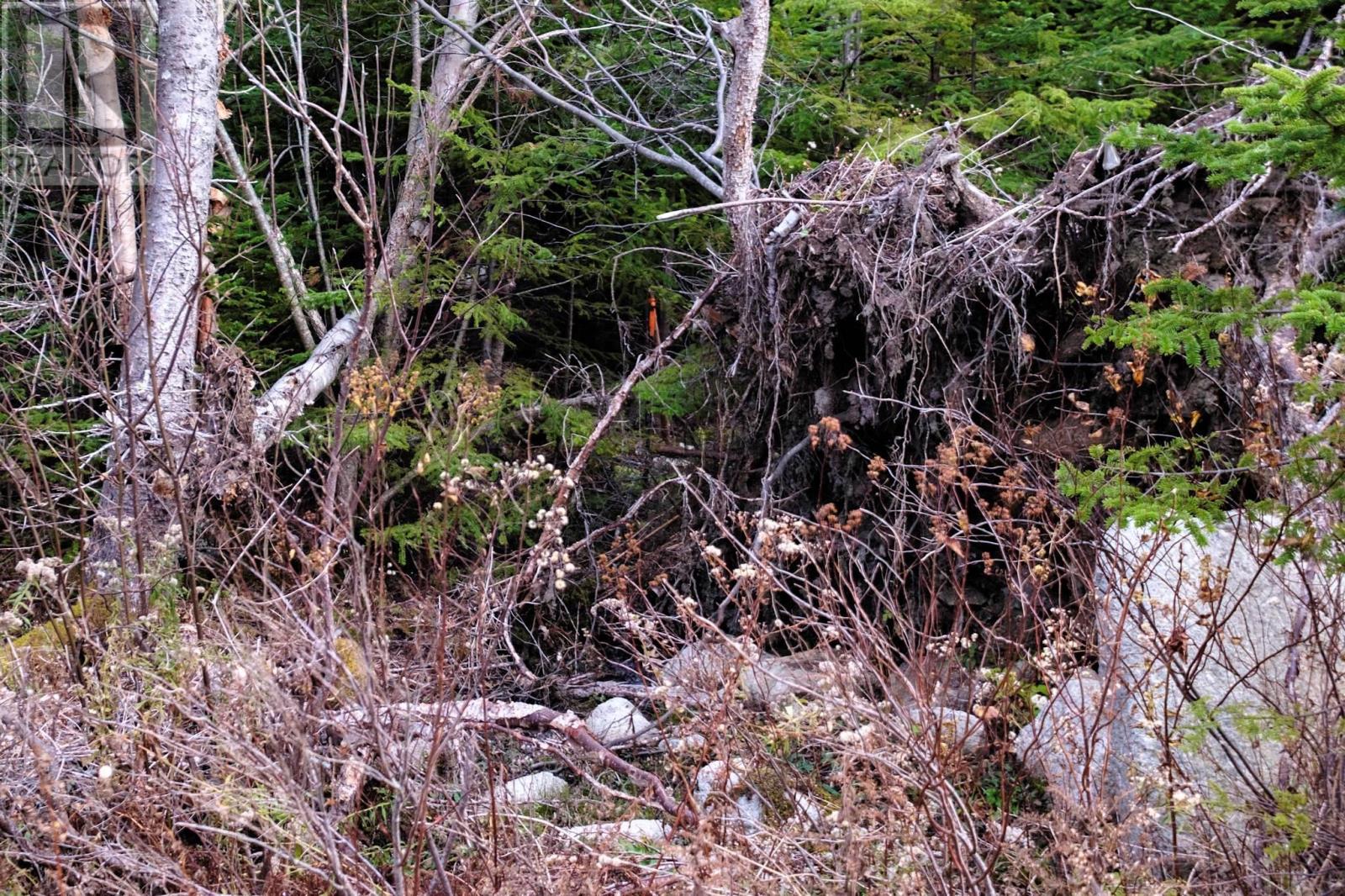 Remainder Lot R Peggys Cove Road, Indian Harbour, Nova Scotia  B3Z 3N4 - Photo 5 - 202325320