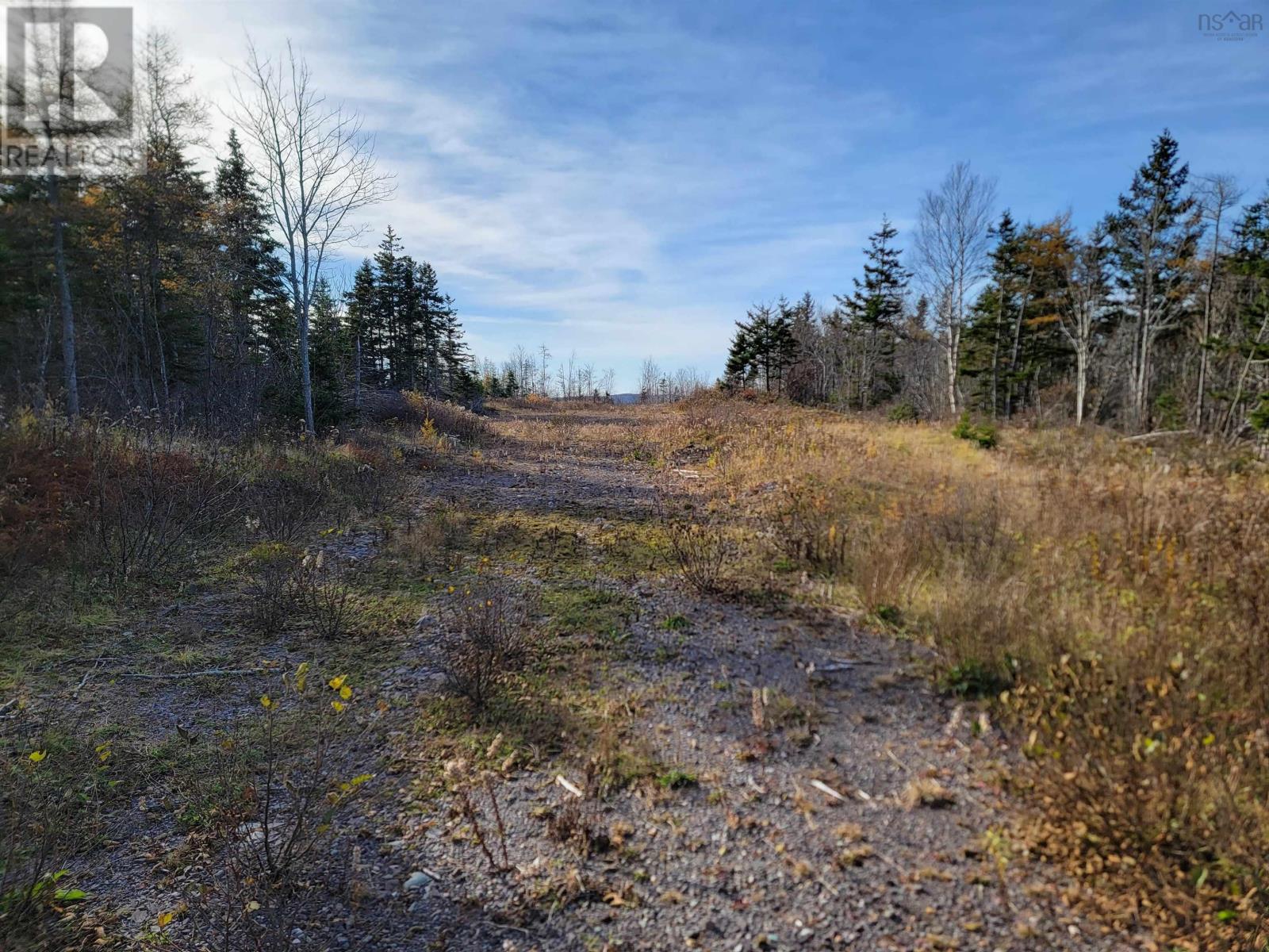 Louisbourg Highway, Catalone, Nova Scotia  B1C 2E6 - Photo 16 - 202325748