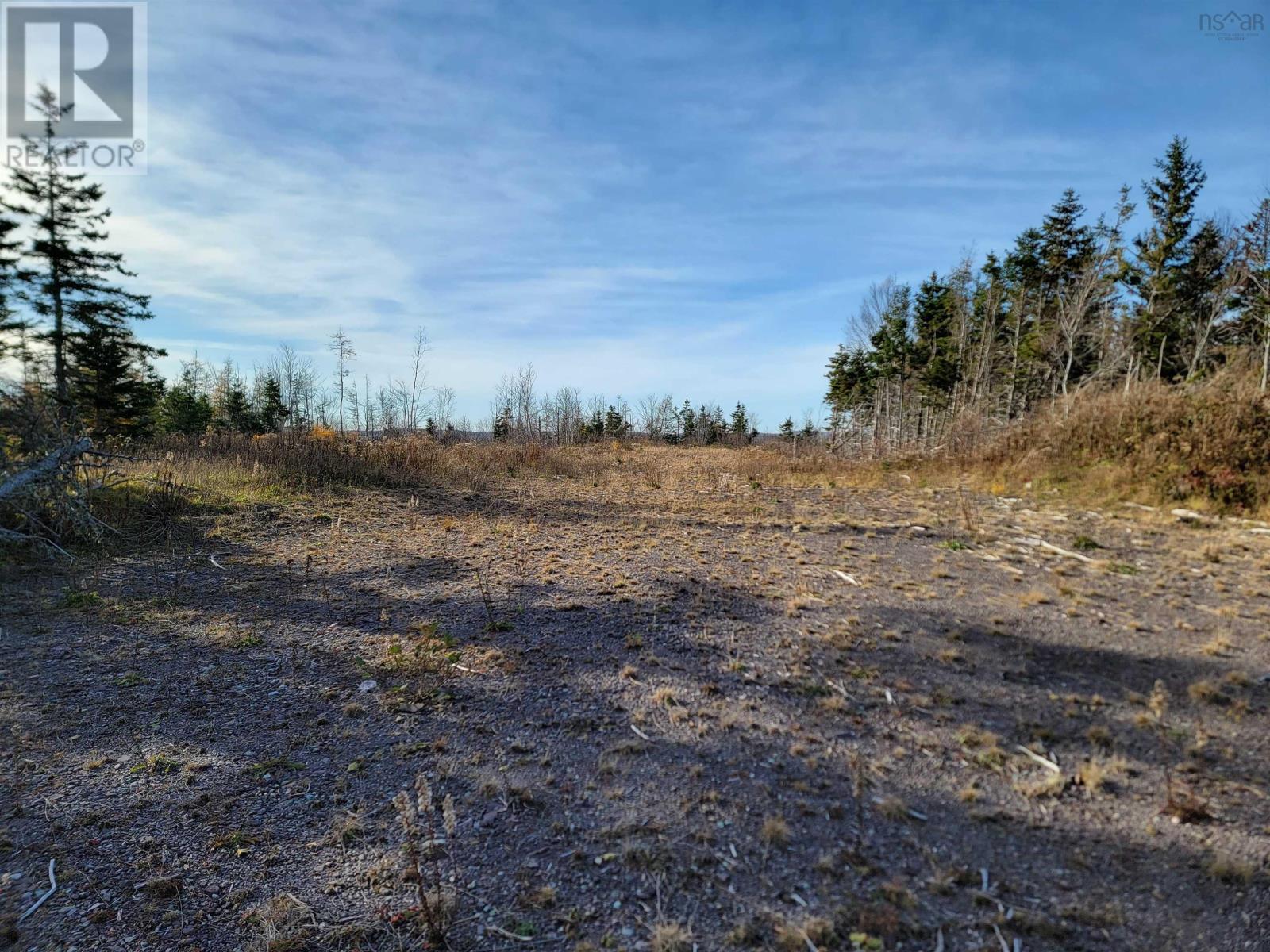 Louisbourg Highway, Catalone, Nova Scotia  B1C 2E6 - Photo 17 - 202325748